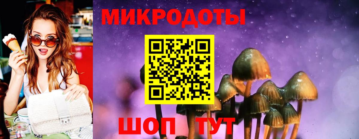 Галлюциногенные грибы мицелий Кольчугино